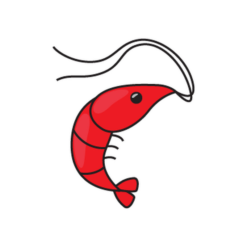 Shrimply Explained