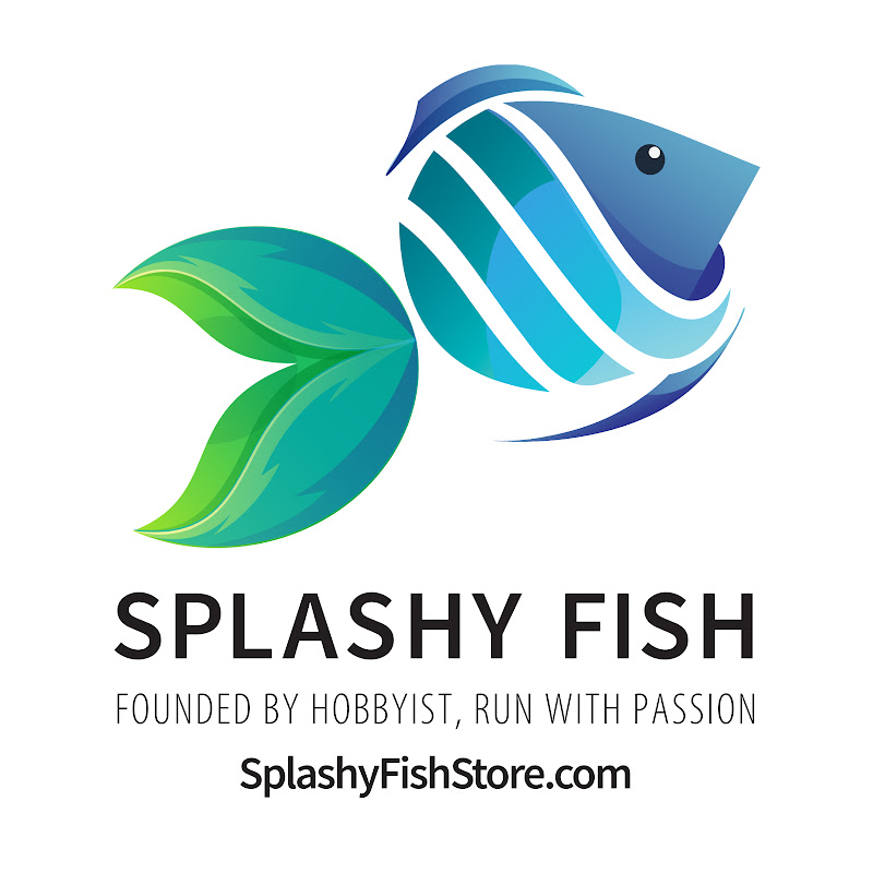 Splashy Fish