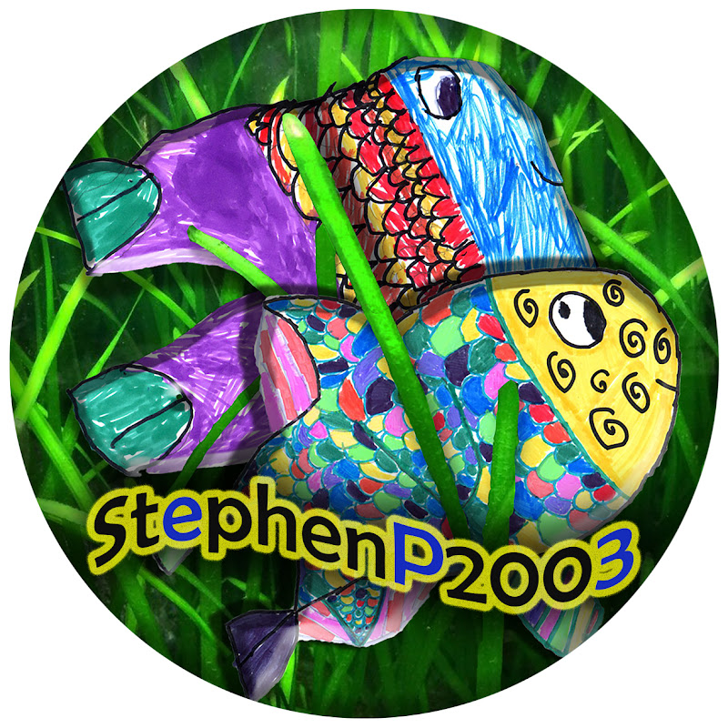 StephenP2003 Awkwardics