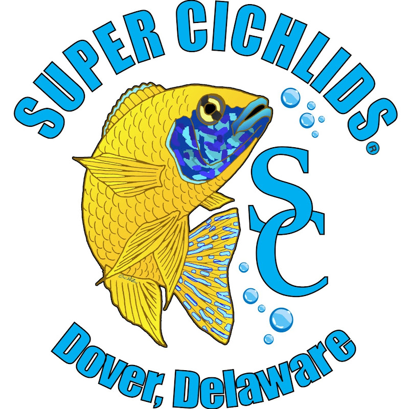 Super Cichlids