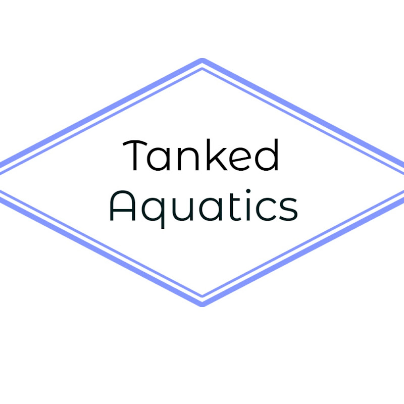 Tanked Aquatics