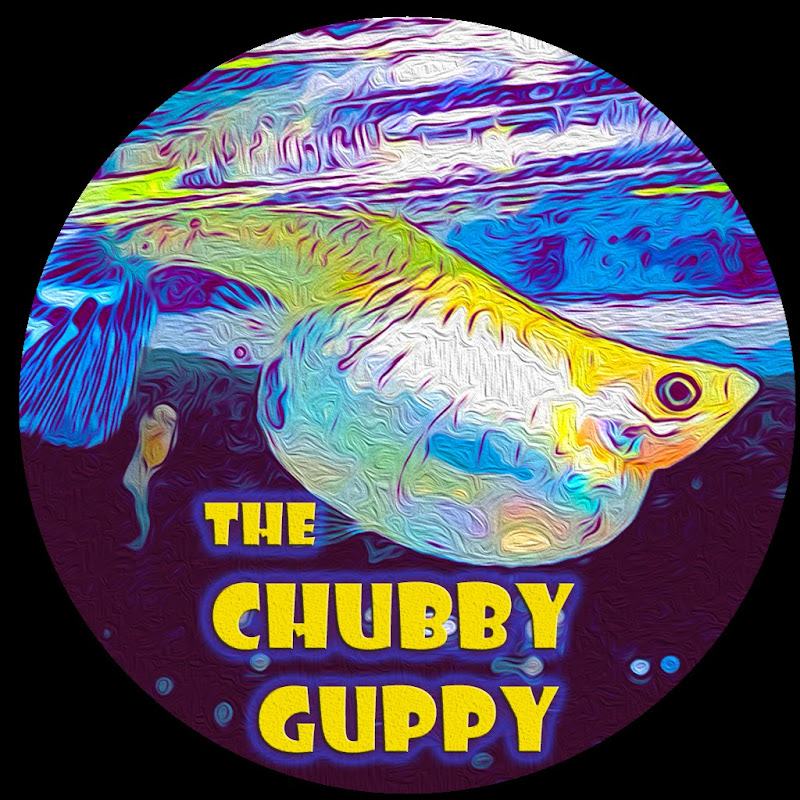 The Chubby Guppy
