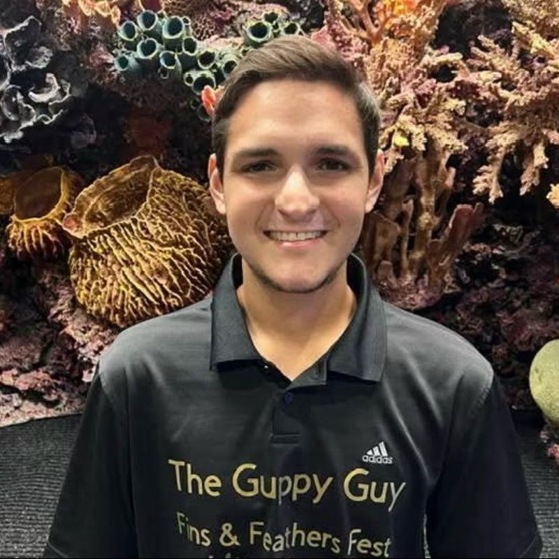 The Guppy Guy / The Bird Buddy