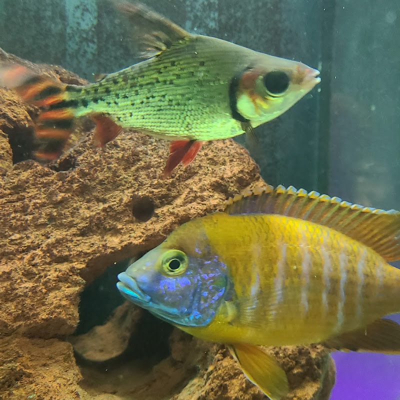 The Hettich Aquarium Hole