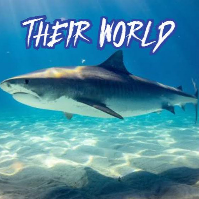 Their World Aquatics