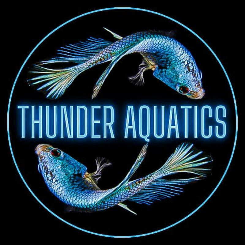 Thunder Aquatics