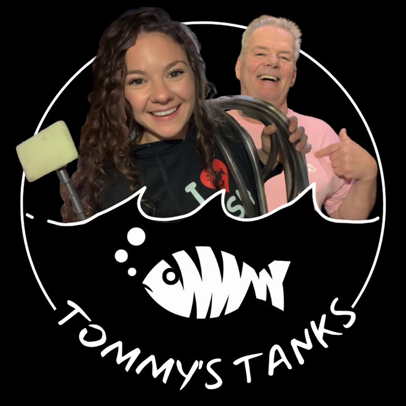 Tommy's Tanks