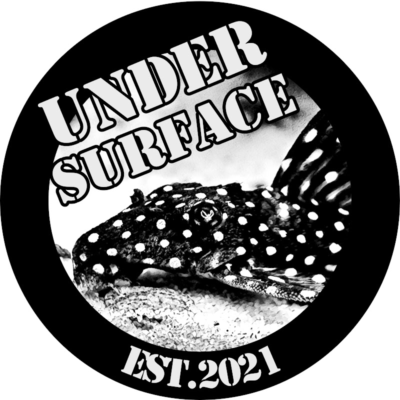 Under Surface