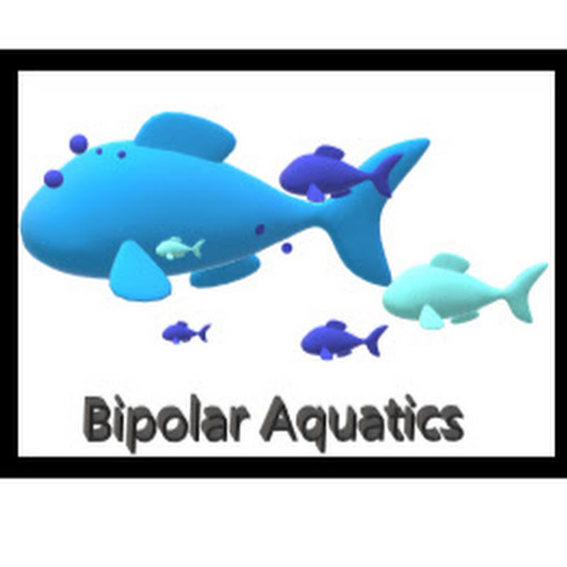 bipolar aquatics
