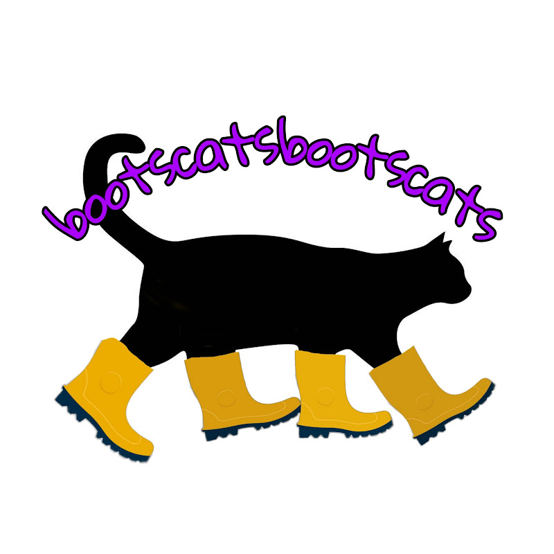 bootscatsbootscats